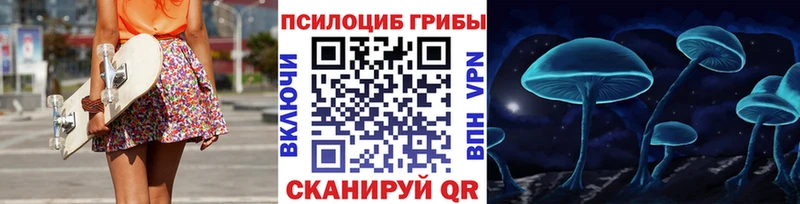 Псилоцибиновые грибы GOLDEN TEACHER Заводоуковск