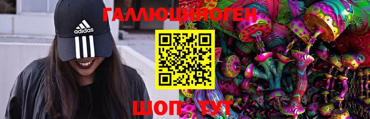 Псилоцибиновые грибы Psilocybine cubensis Заводоуковск